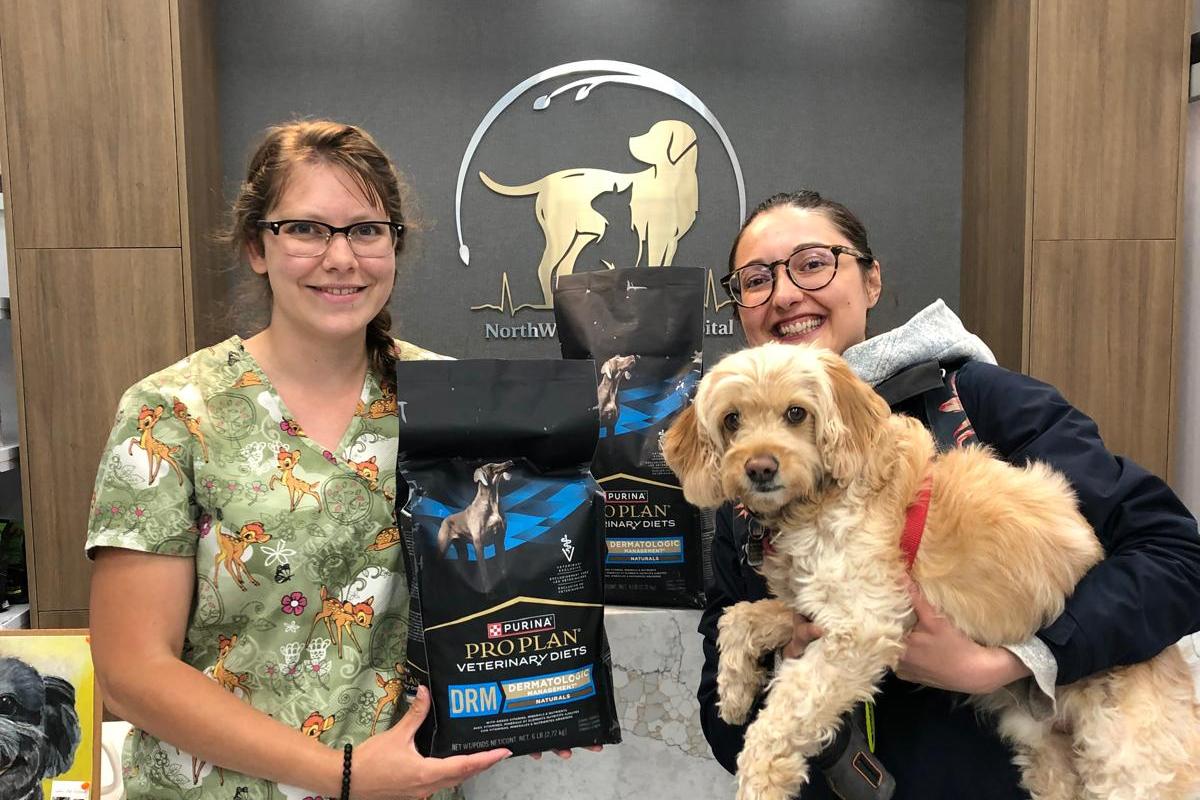 About Quilt Crowdfunding